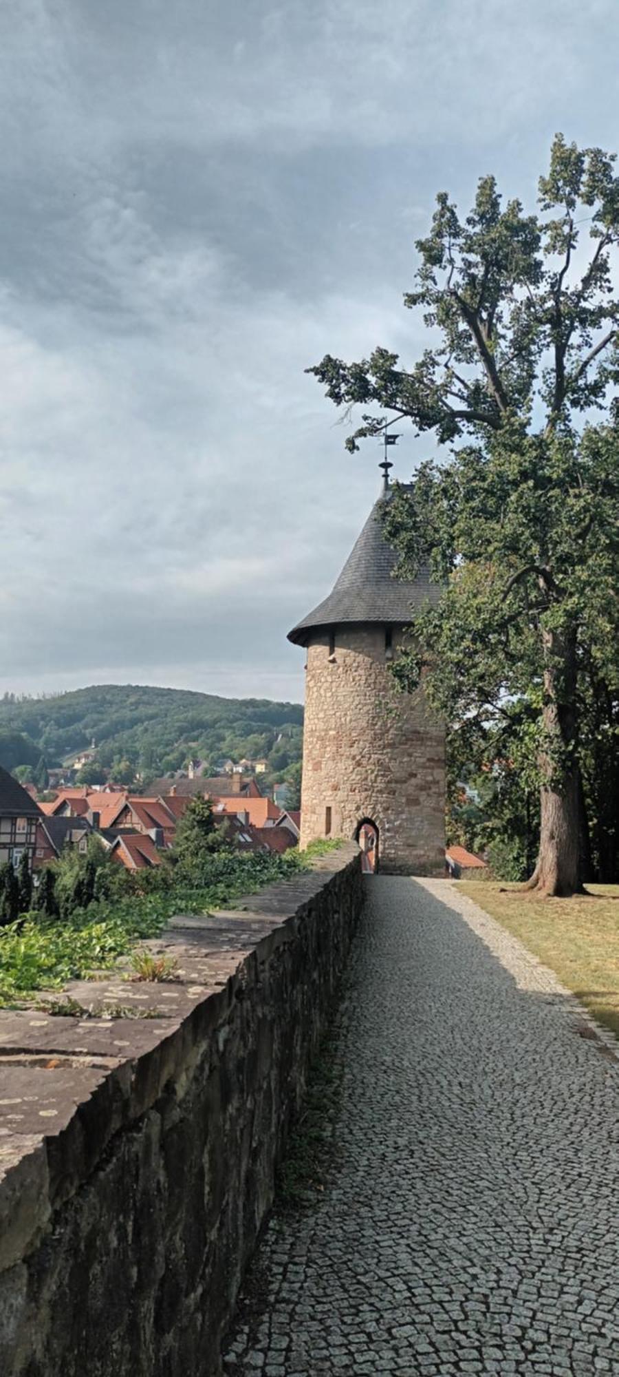 Spatzennest Wernigerode Exterior foto